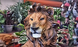 獅子,動物,野生