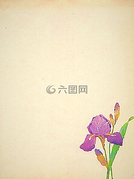 母親節(jié),媽媽,紙