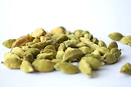 小豆蔻,elaichi,綠色