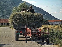 農(nóng)村,自然,戶外