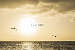 日落,水,天空