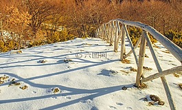 冬天,性质,雪