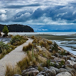 新西蘭,海岸,科夫