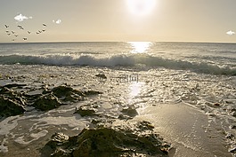 海,水,海濱