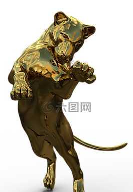 貓,虎,豹