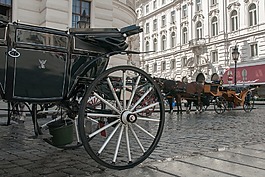 馬車,馬匹,輪koca
