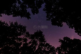 黑暗,夜,戶外