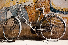 自行車,白,交通