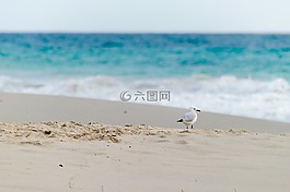 景觀,海景,自然