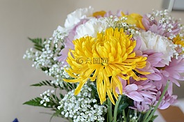 鮮花,花束,黃色
