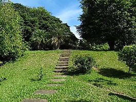 草,首頁(yè),住宅