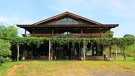 泰國,首頁,花園