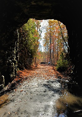 隧道,秋,秋天