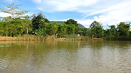 泰國(guó),河,岸