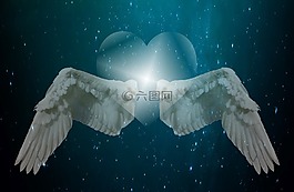 心臟,愛情,翼