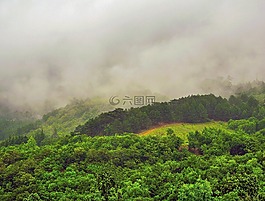 克里米亞,森林,山