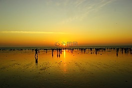 海濱,日落,晚上