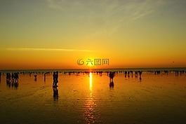 海濱,日落,晚上