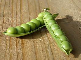 豌豆,莢,宏