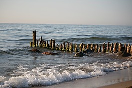 海,木,海洋