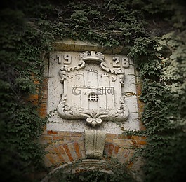 徽章,墻,石