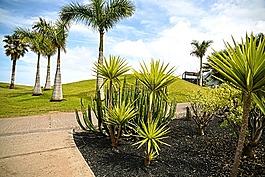 特内里费岛,加那利群岛,风景