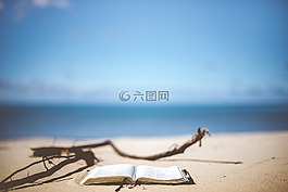 海灘,模糊,書