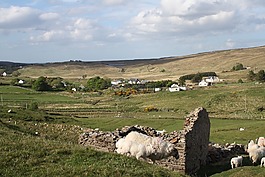 野生donegal,爱尔兰,多尼戈尔