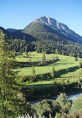 景觀,山,自然