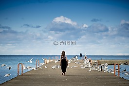 動(dòng)物,鳥,云