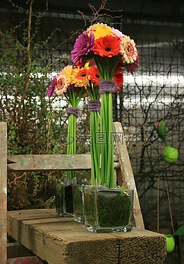 鮮花,非洲菊,花束