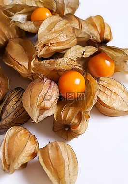 酸浆,小,食用