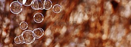 肥皂泡沫,背景,球