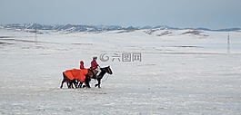 馬,冬天,雪