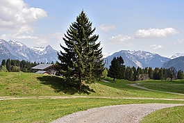 景觀,alpe,方式
