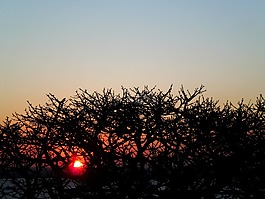 天空,红色,日落