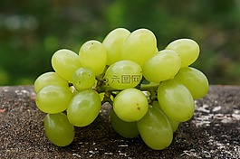 食品,绿色的葡萄宁顺,越南
