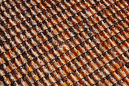 臟,模式,屋頂