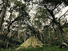 树,金字塔,眼睛