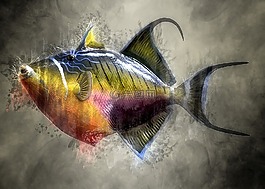 多彩,觸發魚,魚