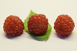山莓,紅色,水果