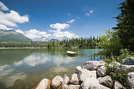 戶外,湖,野生