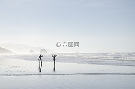 海灘,海岸,有霧