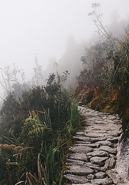 徑,路徑,山