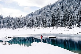 冷,湖,景觀
