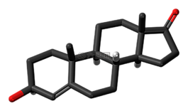 脫氫表雄酮,類固醇,分子