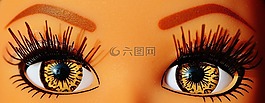 眼睛,關(guān)閉,美麗