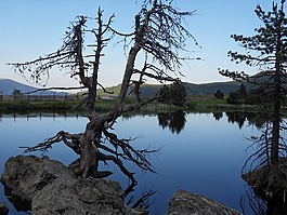 阿爾卑斯山,nockberge,水