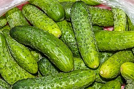 黃瓜,食品,健康