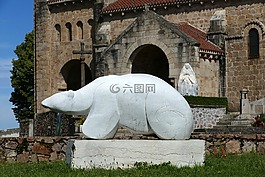 熊,北極熊,圖像